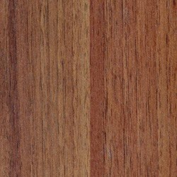 Орех гварнери